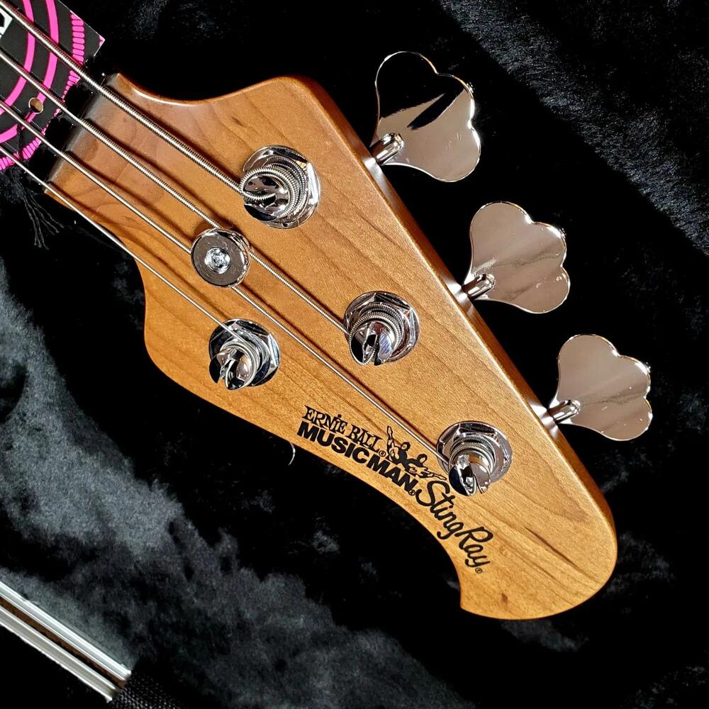 楽天市場】MUSICMAN StingRay Special Frost Green Pearl ミュージック