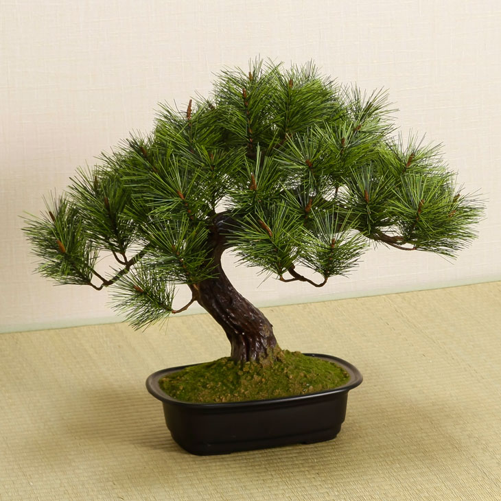 楽天市場】光触媒 人工盆栽 アレンジ盆栽 富士の松 盆栽 松 人工