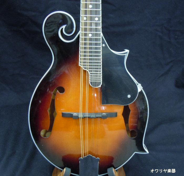 楽天市場】フラットマンドリン Fタイプ【新品アウトレット】 : おかげ