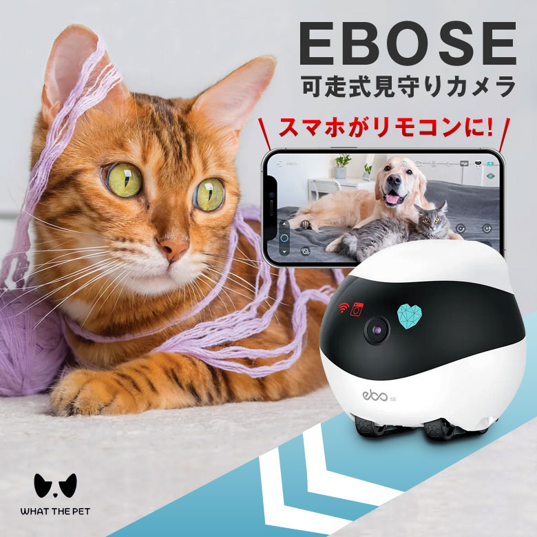 楽天市場】【SNSで話題】 EBO SE 見守りロボット what the pet 自動