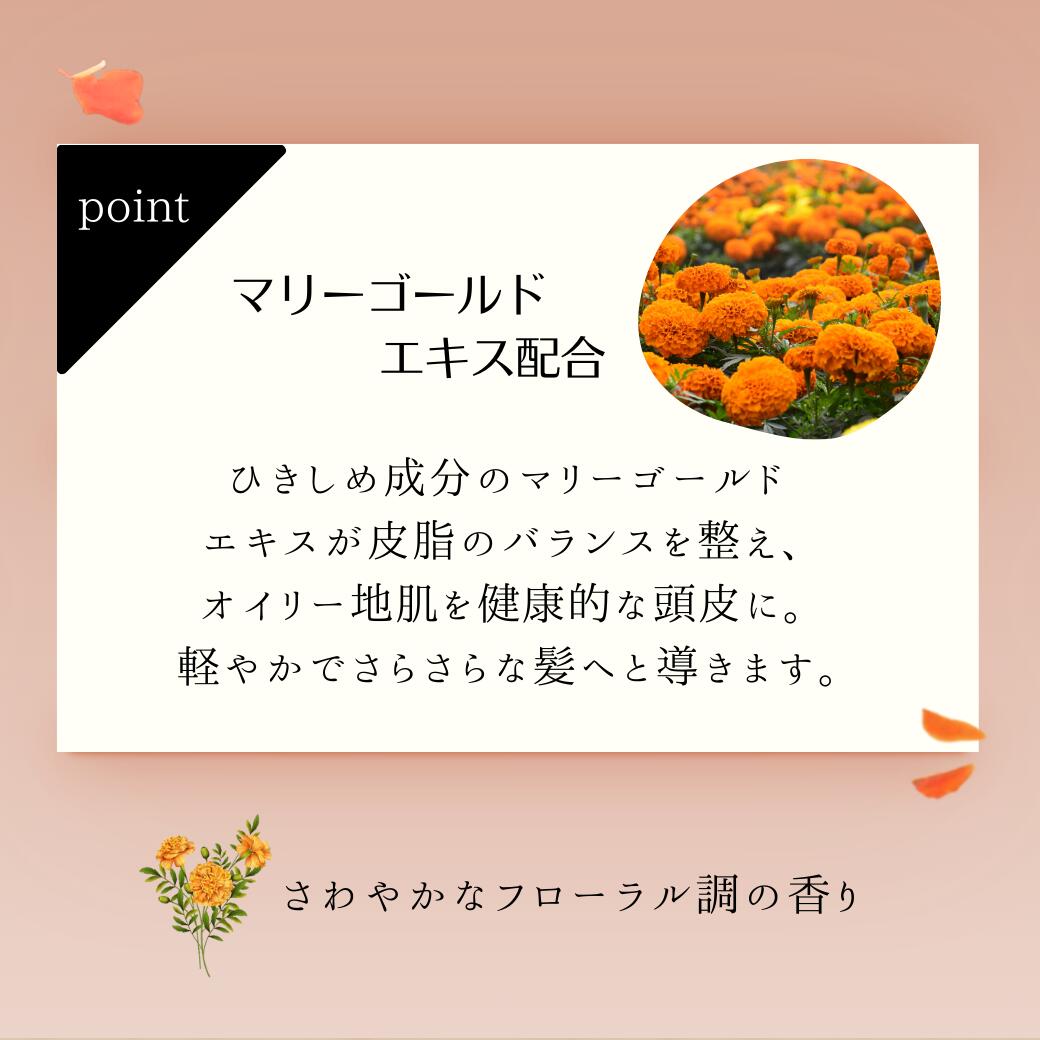 楽天市場】【挑戦価格】 新タイプ 2本 ルベル ナチュラルヘアソープ