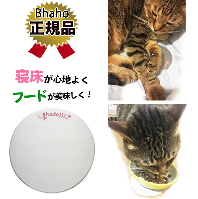 楽天市場】正規販売店 美波動 マクラクサァ 12時迄注文は当日出荷 枕