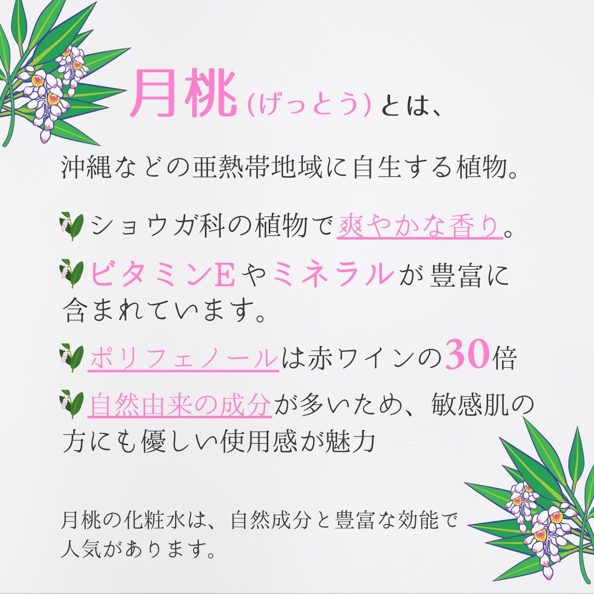 楽天市場】月桃 スキンケア3点セット 琉球コスメ 月桃化粧水 月桃保湿