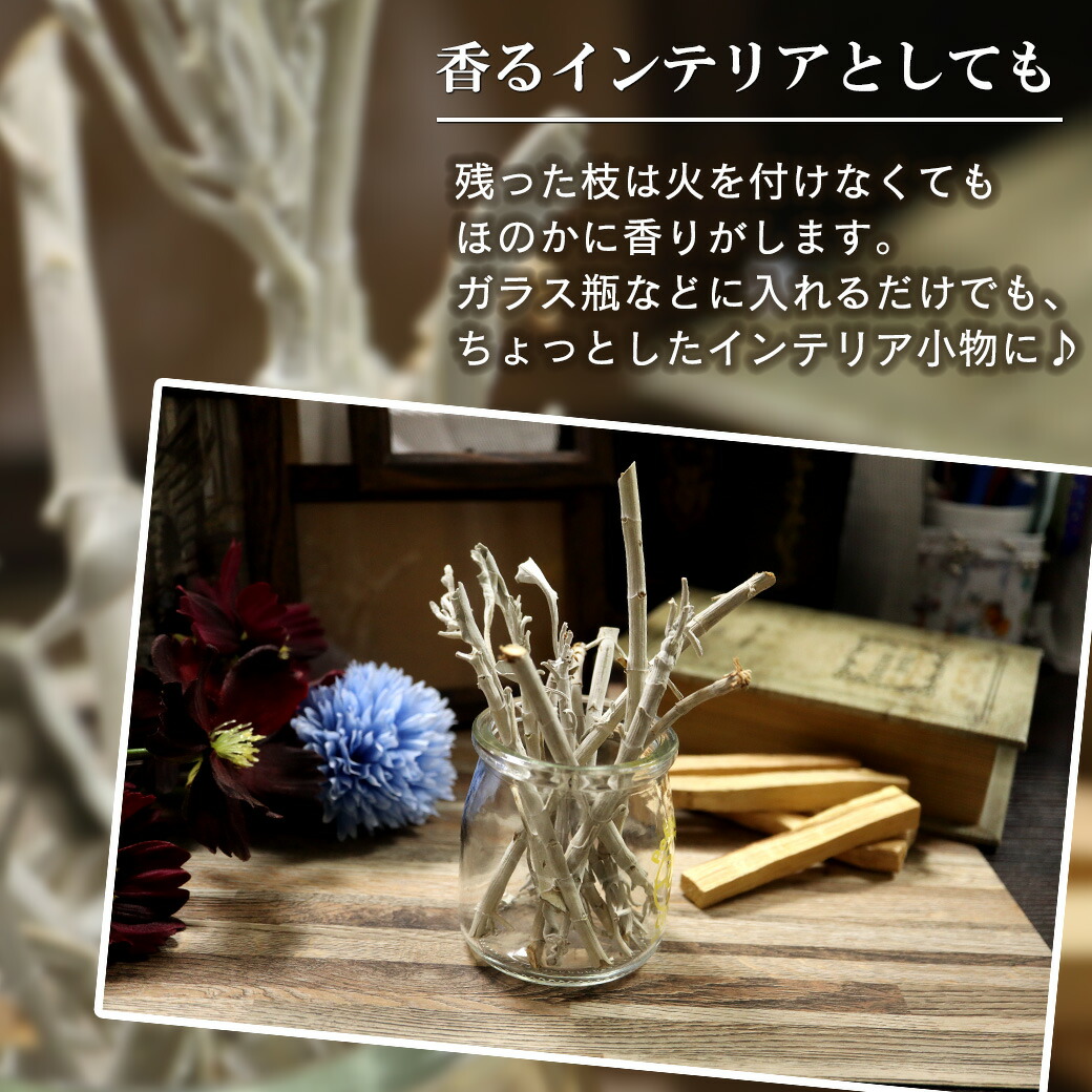 楽天市場】ホワイトセージ 枝付き 30g 選別済み 浄化用 カリフォルニア