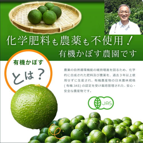 楽天市場】国内唯一の有機JAS認証栽培かぼす 無農薬大分県産カボス青果