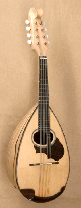 楽天市場】スズキ/マスターハンドマンドリン【M-100】SUZUKI : 音楽大陸