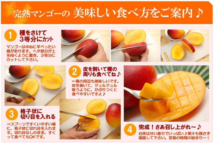 楽天市場】太陽のタマゴ (5L/約650g) 宮崎産 赤秀～青秀 太陽のたまご