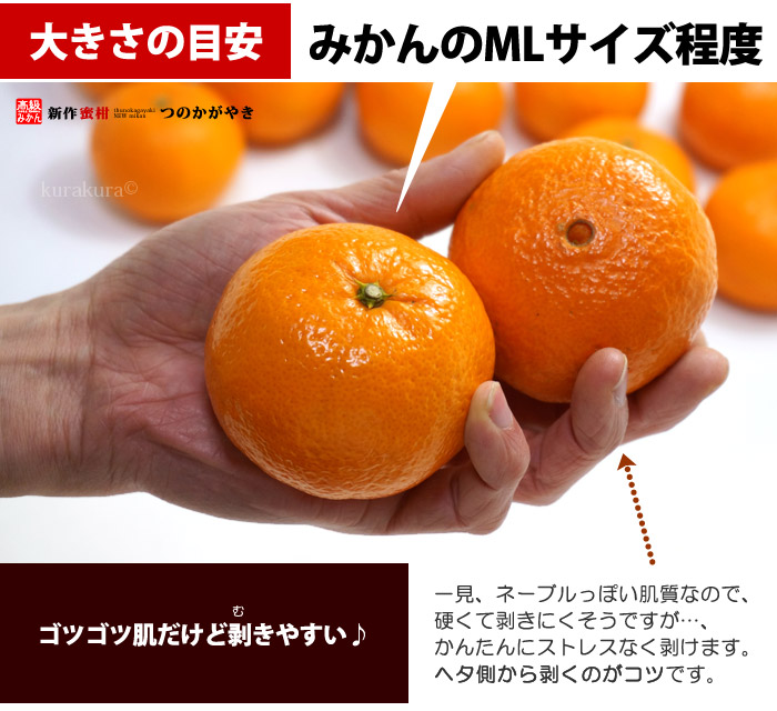 楽天市場】津之輝 (約5kg) 三重県産 赤秀 ギフト 贈答 贈り物 津の輝