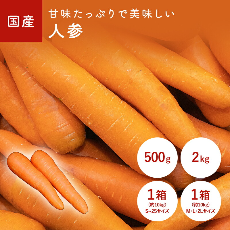楽天市場】人参（にんじん） 500g 2kg 10kg 10kg(Sサイズ) 福岡・大分