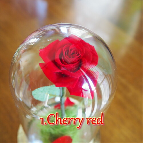 楽天市場】【美女と野獣 プリザーブドフラワーオルゴール】オルゴール