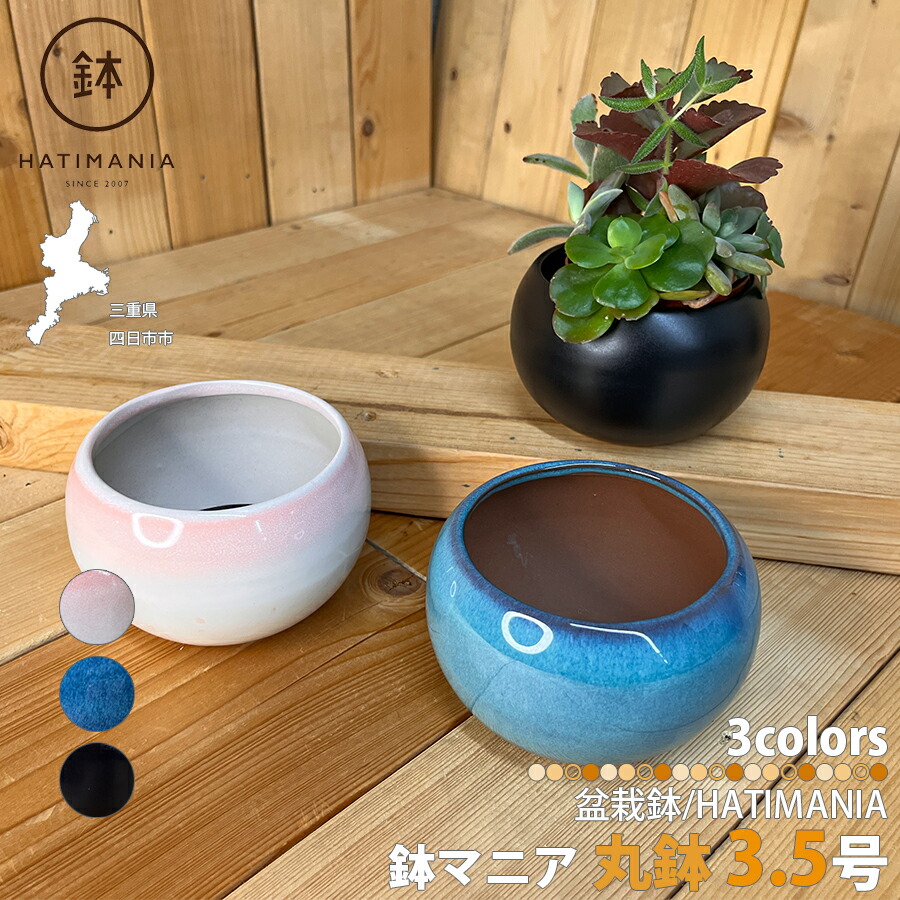 楽天市場】HATIMANIA 鉢マニア 丸 3.5号 盆栽鉢 水が抜けやすい 小さい