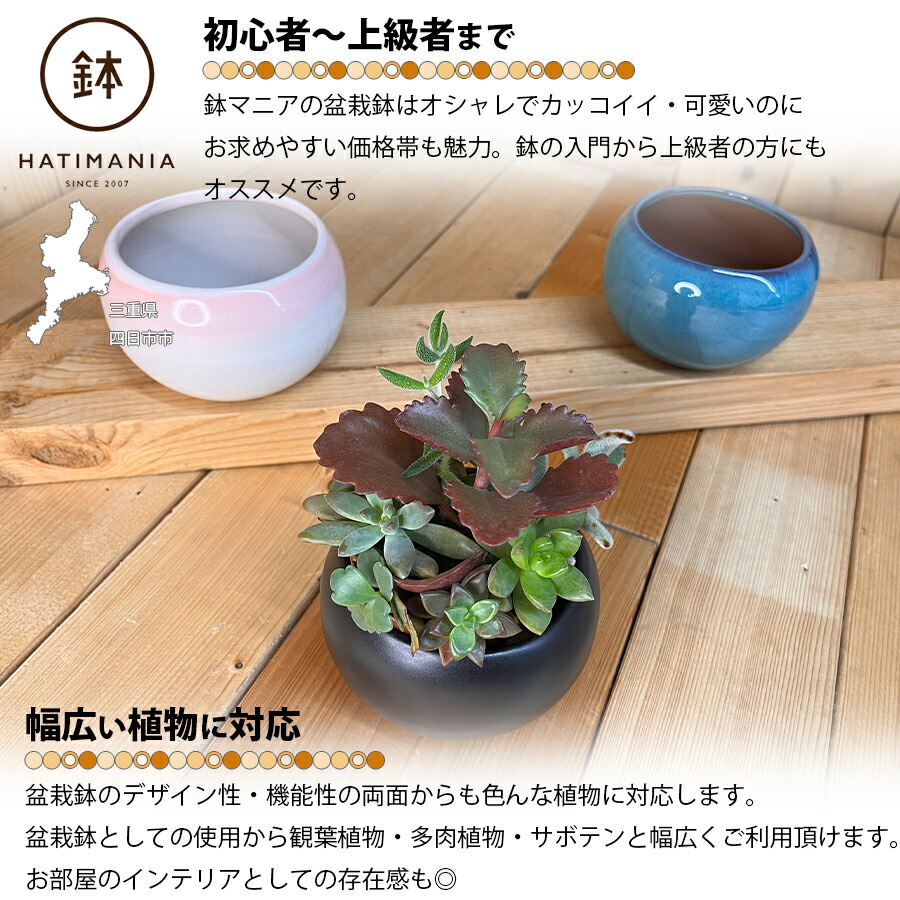 楽天市場】HATIMANIA 鉢マニア 丸 3.5号 盆栽鉢 水が抜けやすい 小さい
