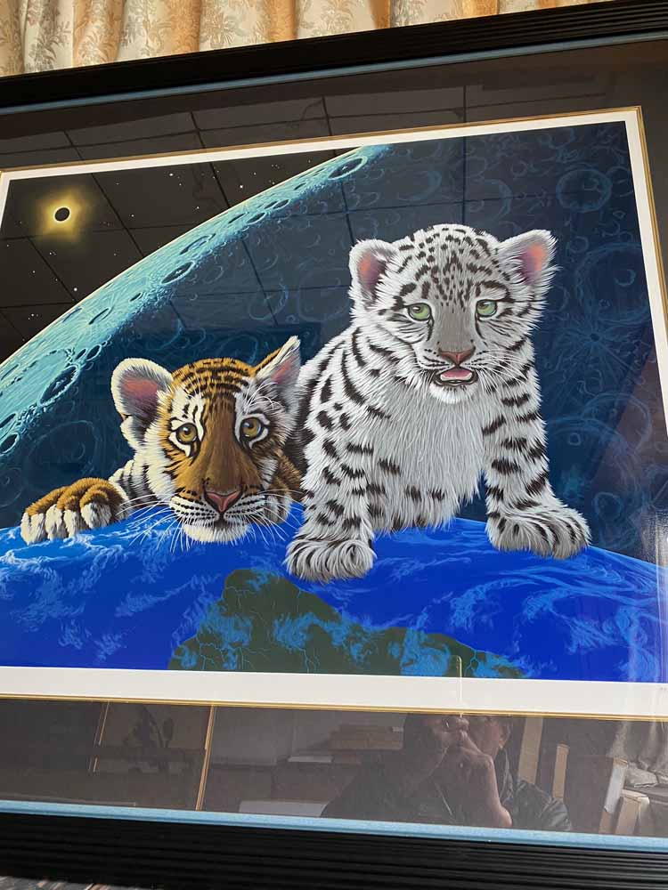 楽天市場】絵画 シムシメール トータルエクリプス 版画／シルク