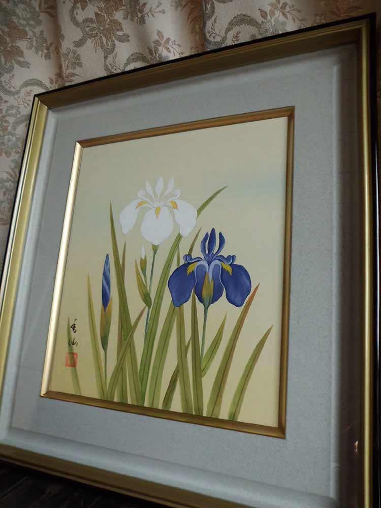 楽天市場】飯島香仙 菖蒲 日本画 肉筆 絵画 色紙 : 古都-京都 掛け軸