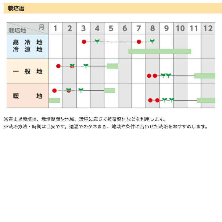 楽天市場】【有効期限2026年9月末】 ブロッコリー 種 おはよう