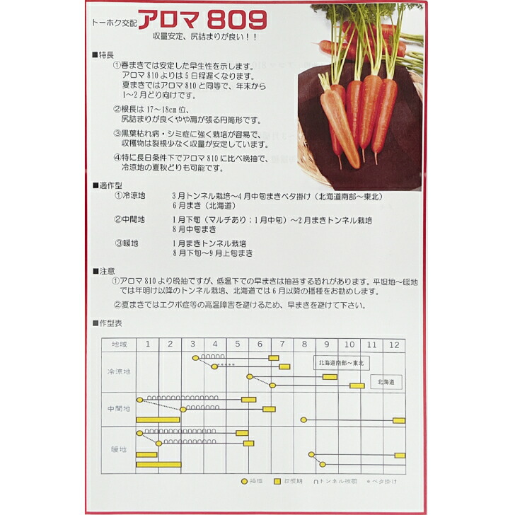 楽天市場】ニンジン 種 アロマ809 コート 10000粒 種 トーホク 種 野菜