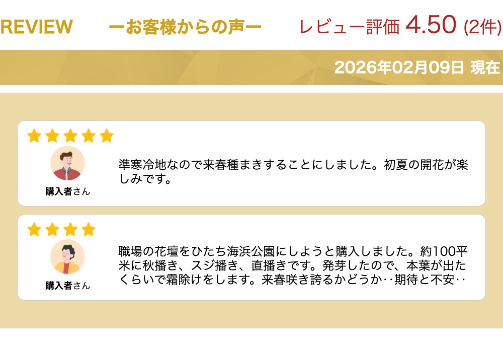 楽天市場】花 種 ネモフィラ インシグニスブルー タキイ種苗 プロ向け