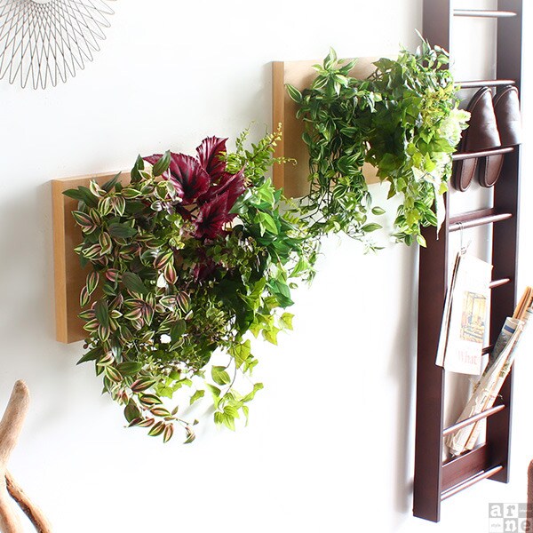 楽天市場】光触媒 消臭 観葉植物 空気清浄 フェイク おしゃれ フェイク