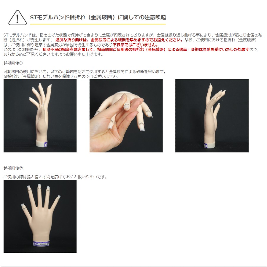 楽天市場】STモデルハンド /片手（JNEC 第1期認定モデルハンド