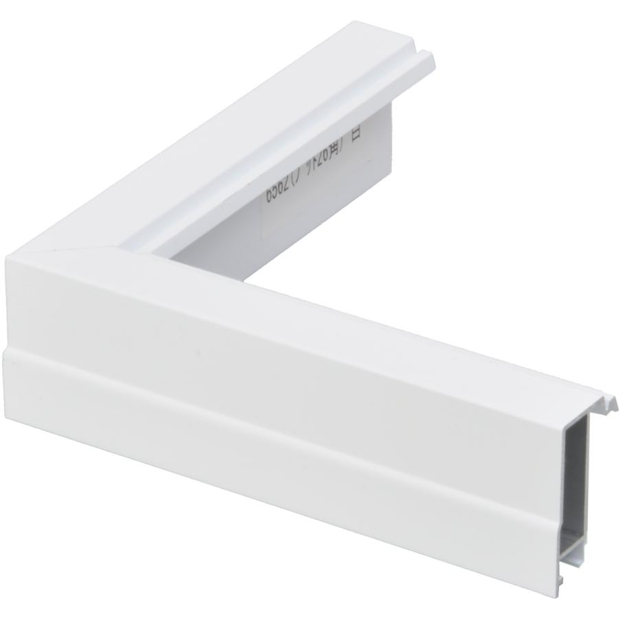 額 f100号」の人気商品一覧 | 安い商品を通販サイトから探す - 価格.com