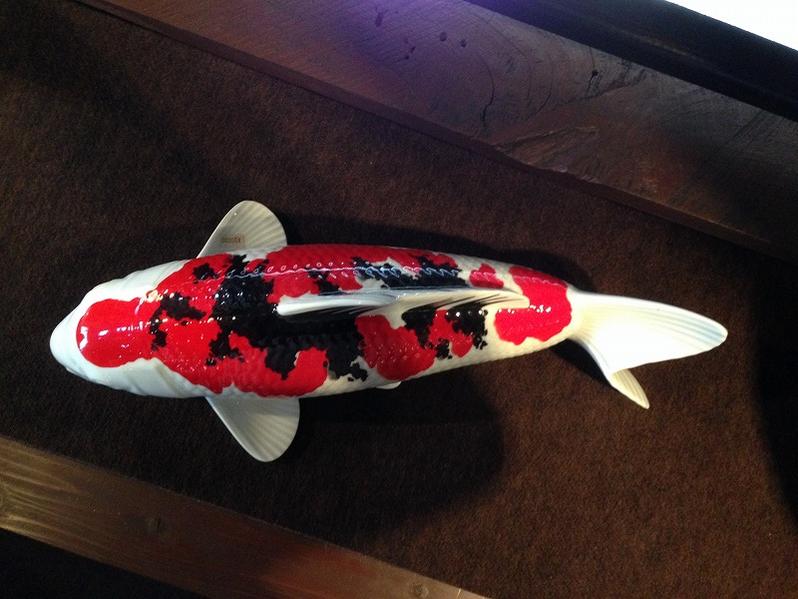 楽天市場】【有田焼 勝山窯】福寿の鯉(赤.黒)【訳あり】 : 有田焼や