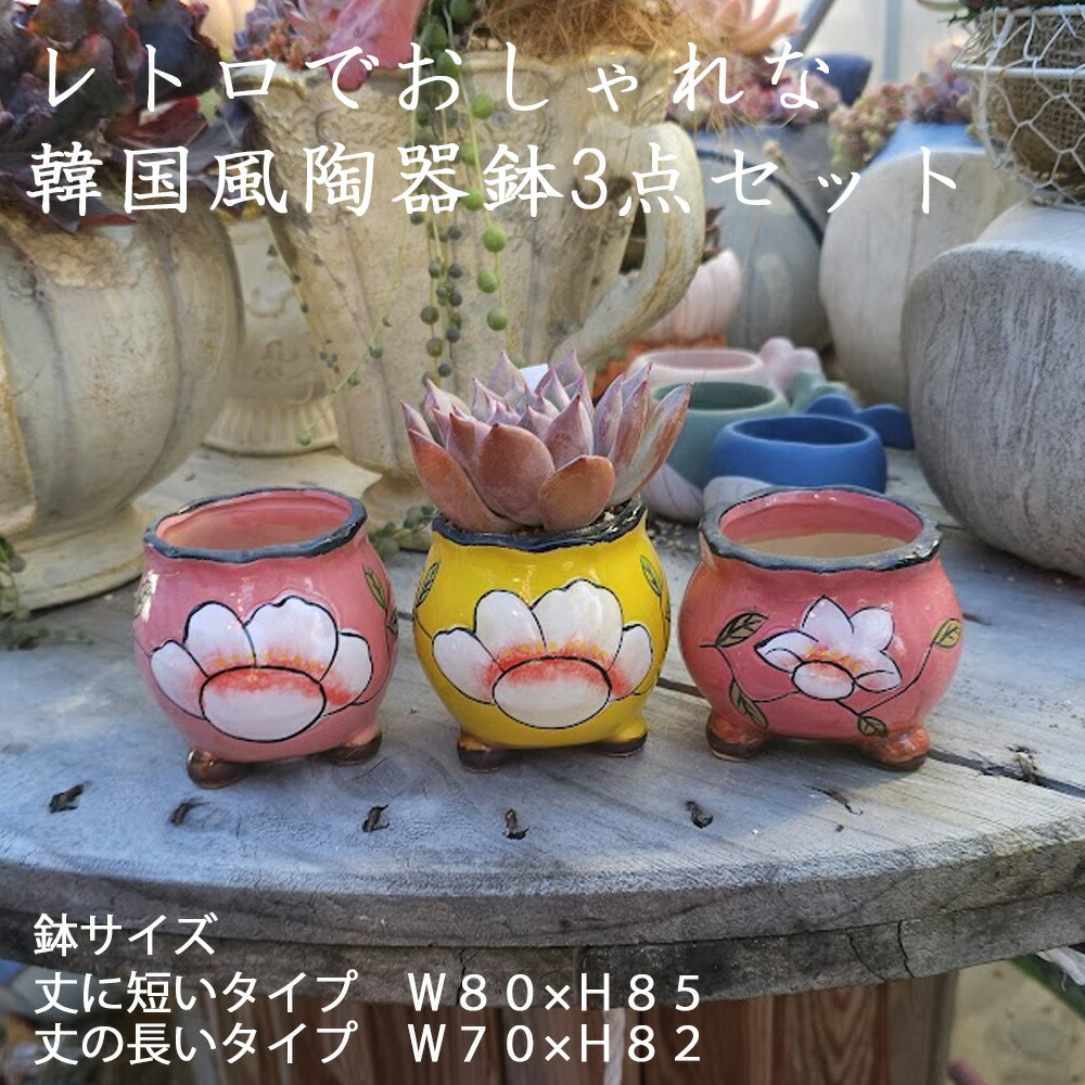 楽天市場】陶器鉢セットの通販