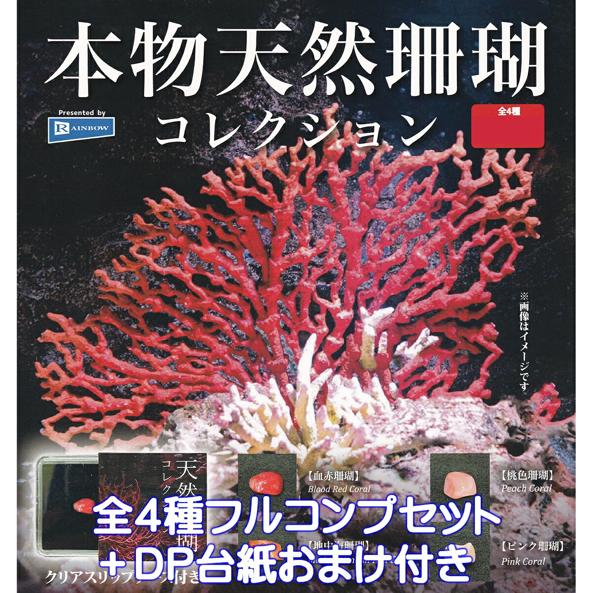 楽天市場】本物天然珊瑚コレクション レインボー 【全4種フルコンプ