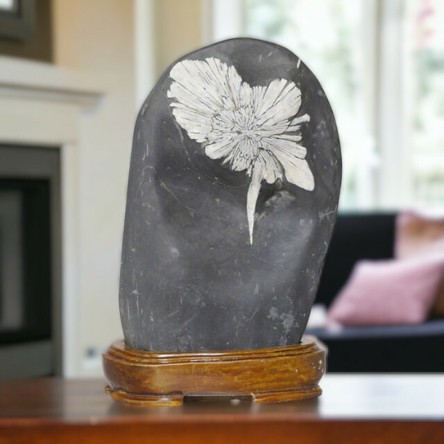 楽天市場】＼マラソン限定PT5倍☆19日20時〜23日1:59／ 菊花石 No.260