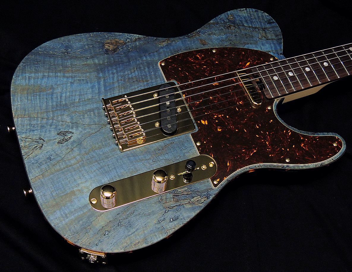 楽天市場】SCHECTER PS-PT-SP/PBT/R シェクター テレキャスタータイプ