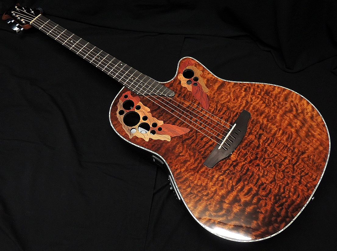 楽天市場】ovation elite lxの通販