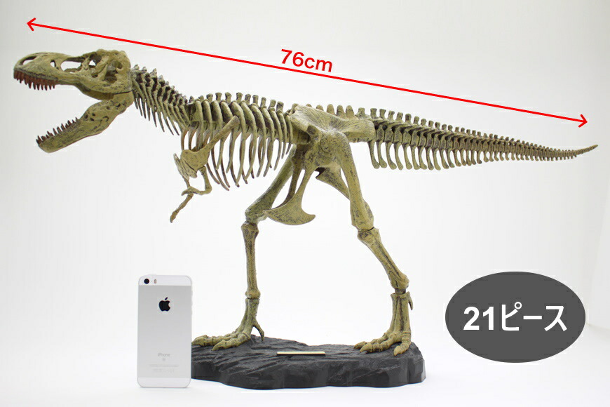 楽天市場】T-REX骨格組み立てキット : 3D・恐竜・おもちゃのヤマサン