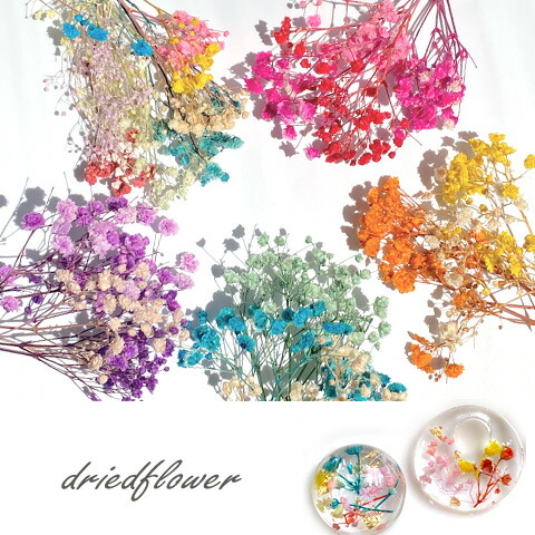 楽天市場】ドライフラワー カスミソウ かすみ草 色別 アソート レジン