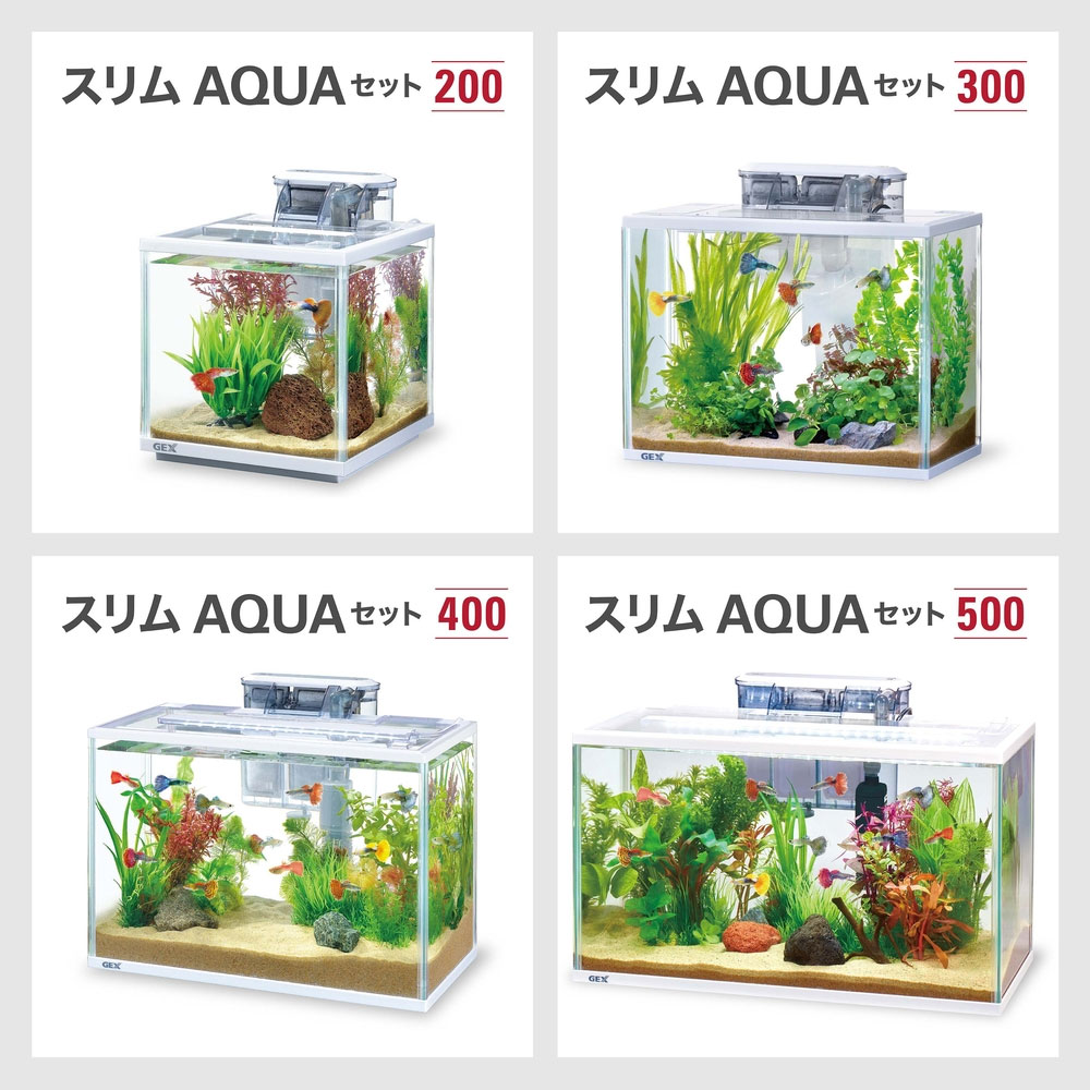 楽天市場】GEX スリムアクアセット300 : アクアアベニュー