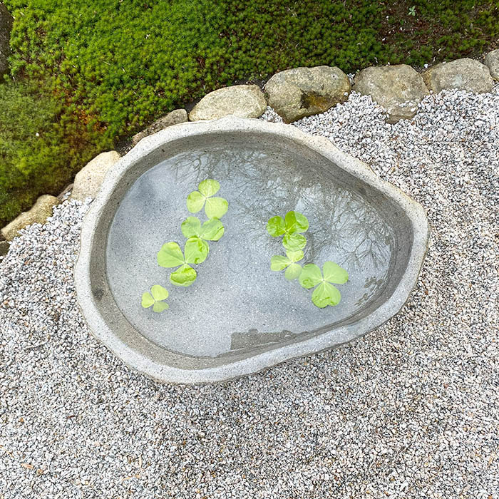 楽天市場】水鉢 石 和モダン （51×38×15cm 19kg No.24）【 睡蓮鉢 大型