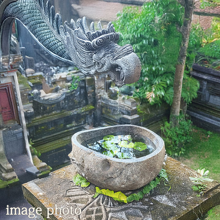 楽天市場】天然石 手水鉢 つくばい （48.5×47.5×16cm 35kg D）【 睡蓮