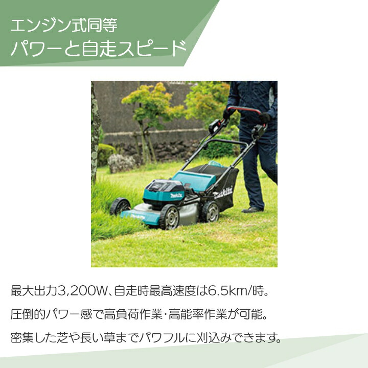 楽天市場】【1/25〜2/25開催！当選確率1/2☆最大100%P還元！要