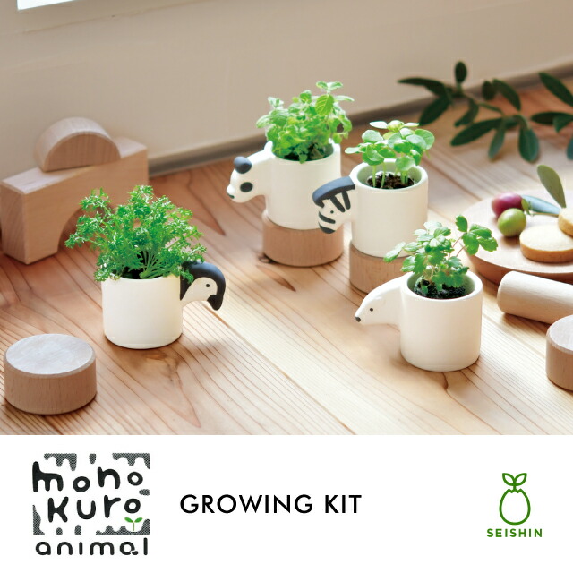 楽天市場】栽培キット 栽培セット 聖新陶芸 モノクロアニマル GD-1007