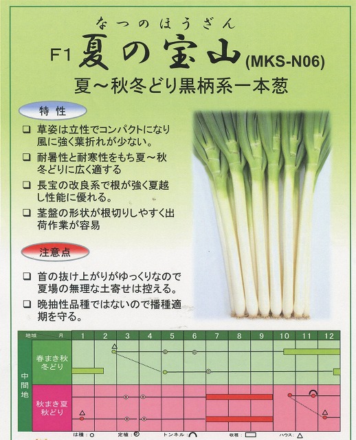 楽天市場】ねぎ 夏の宝山ペレット種子 6000粒 ヴィルモランみかど（株