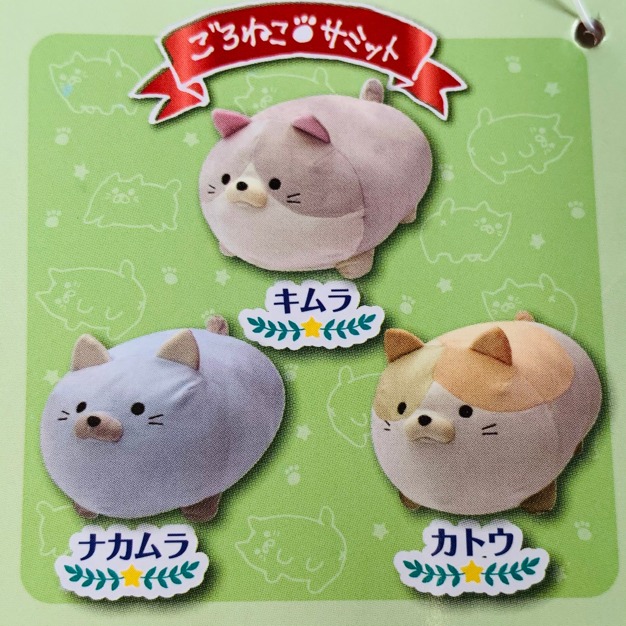 楽天市場】B-30 ごろねこサミット 第18回 おうち代表ねこ会議 全3種