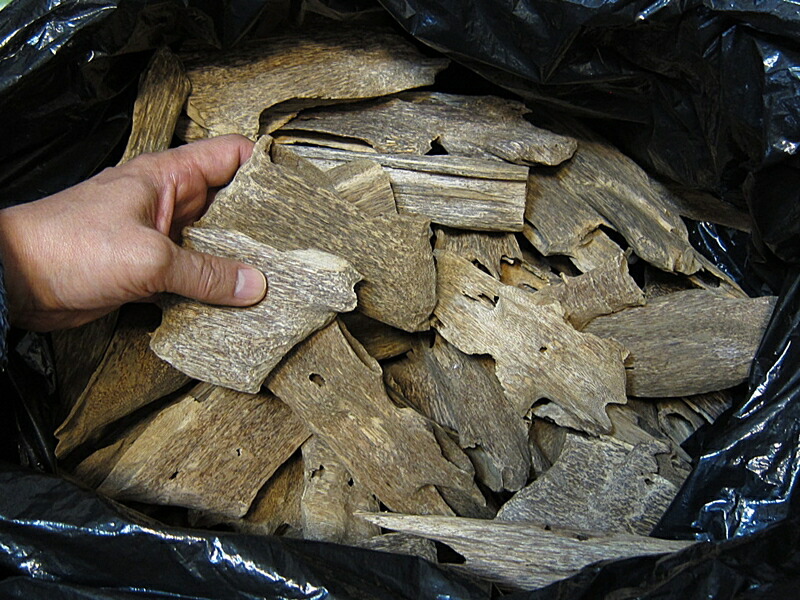 楽天市場】ベトナム産高級栽培沈香 100g量り売り【中高ランク】沈水