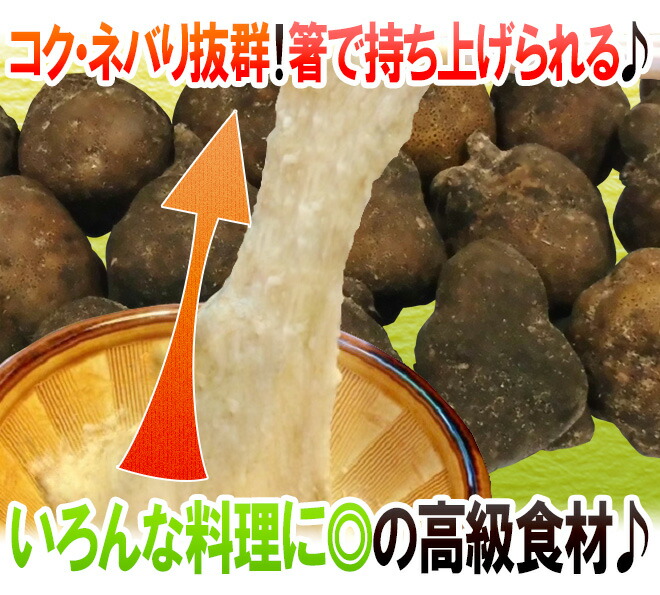 楽天市場】産地厳選 ”つくね芋・山の芋” 訳あり 約10kg 大きさおまかせ