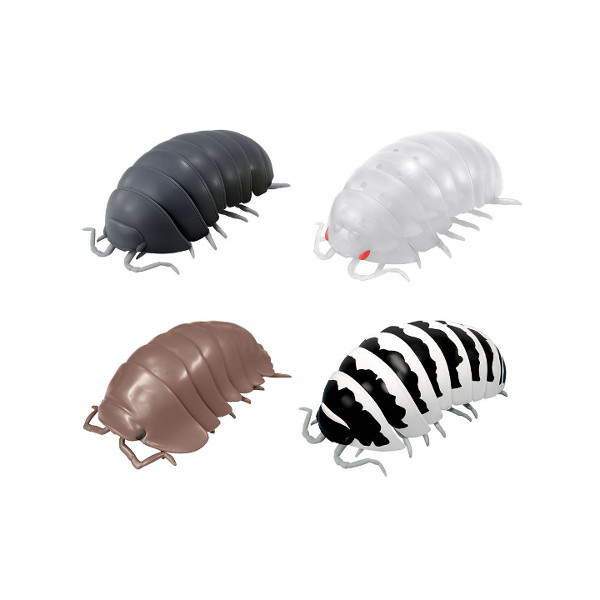 楽天市場】だんごむし03フチゾリネッタイコシビロダンゴムシ編全4種