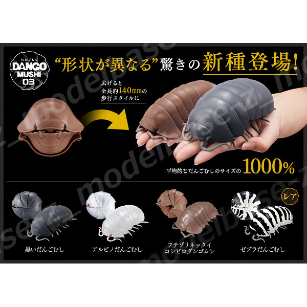 楽天市場】だんごむし03フチゾリネッタイコシビロダンゴムシ編全4種