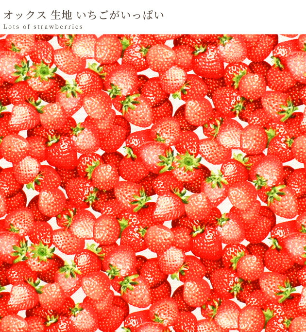 楽天市場】（完売しました）国産 オックス 生地 いちごがいっぱい
