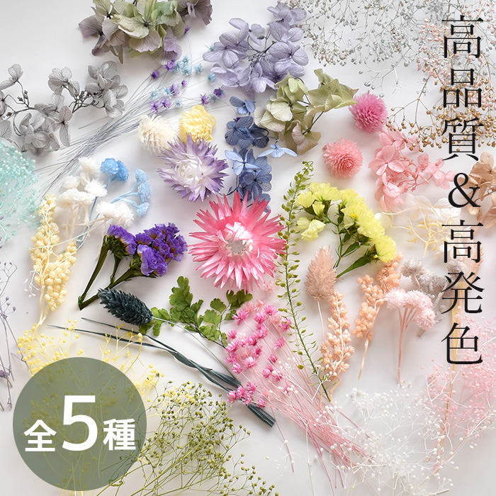 楽天市場】ドライフラワー 大地農園 アソート セット 全5種類 ケース付