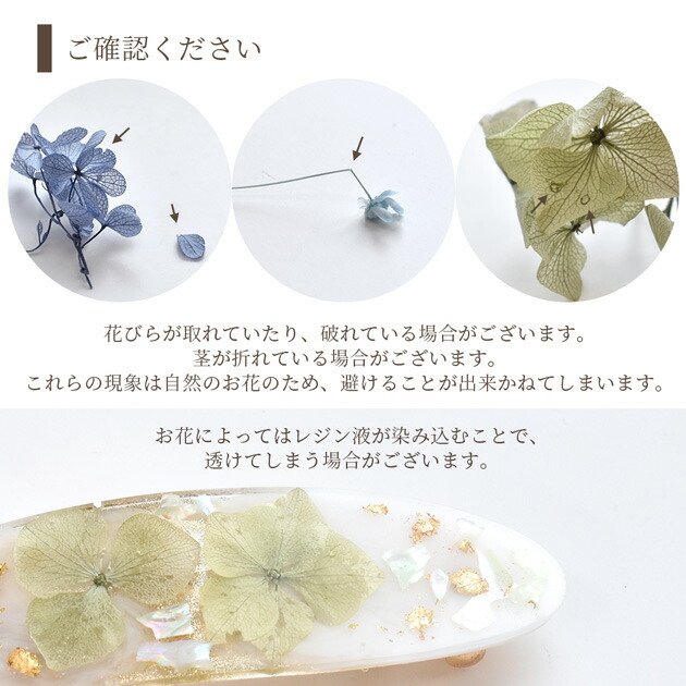 楽天市場】ドライフラワー 大地農園 アソート セット 全5種類 ケース付