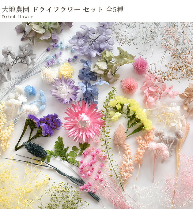 楽天市場】ドライフラワー 大地農園 アソート セット 全5種類 ケース付