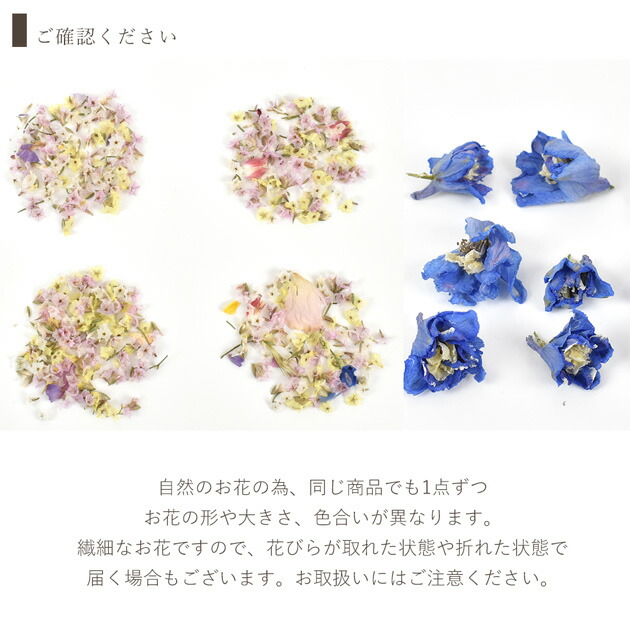 楽天市場】ドライフラワー セット 全2種類 □ 花材 花 小花 ケース付