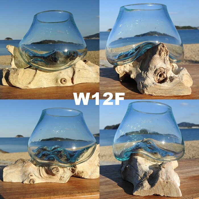 楽天市場】選べる 流木ガラスオブジェ W12 花瓶 アクアリウム