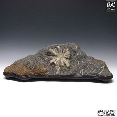 楽天市場】鑑賞石（ホビー）の通販